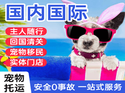 长海航空快运国际宠物托运 【国
